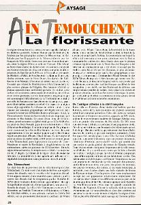 Ain temouchent 013